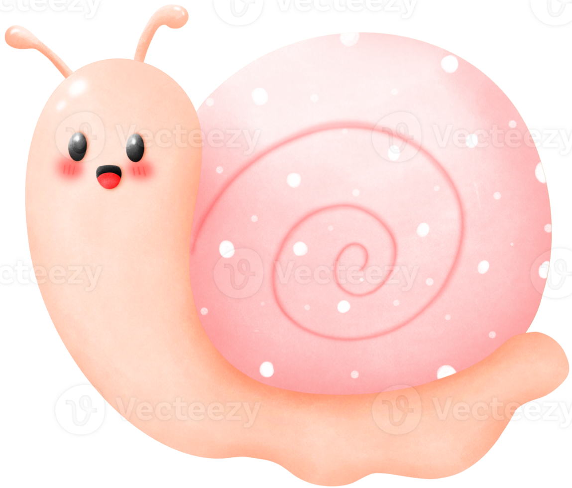 Snail with pink spiral shell png