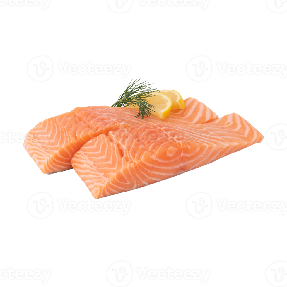 Fresh Salmon cut out isolated transparent background png