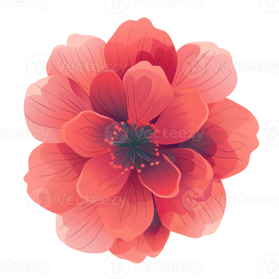 varietà di superiore Visualizza piatto fiori isolato png