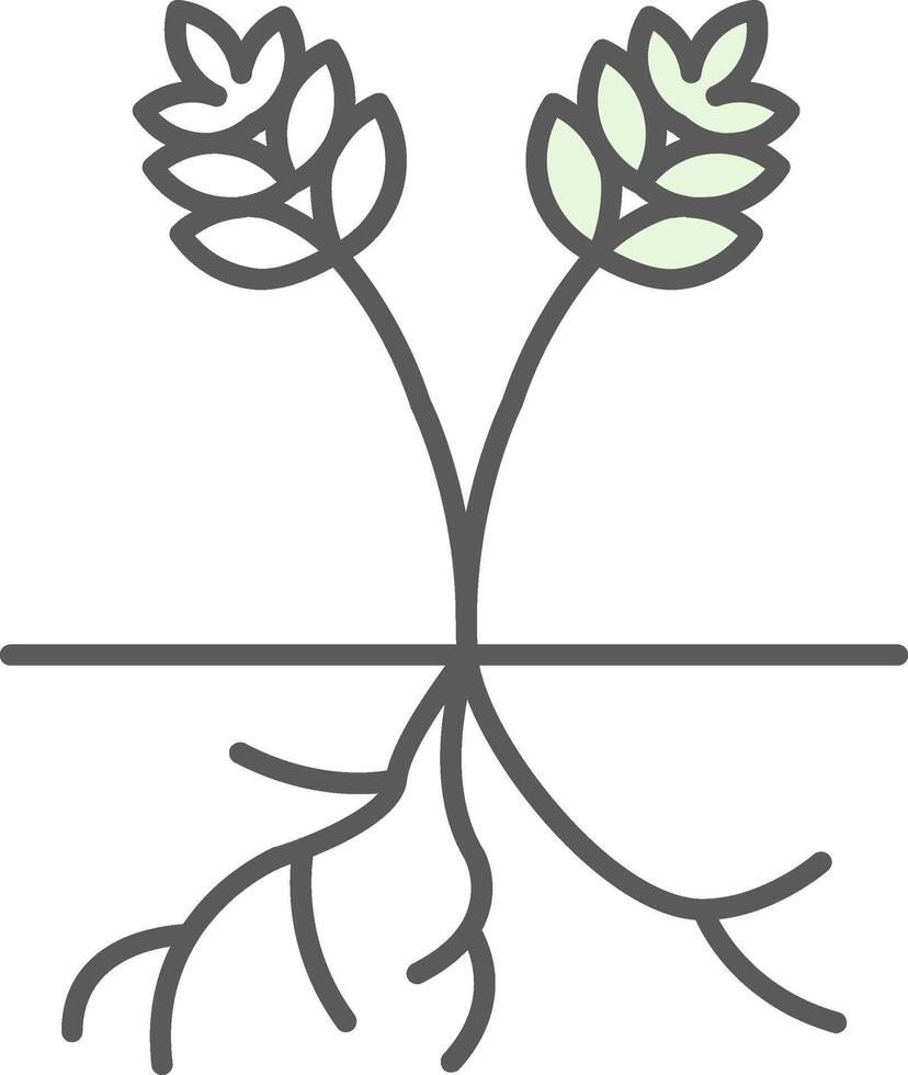 Root Fillay Icon vector