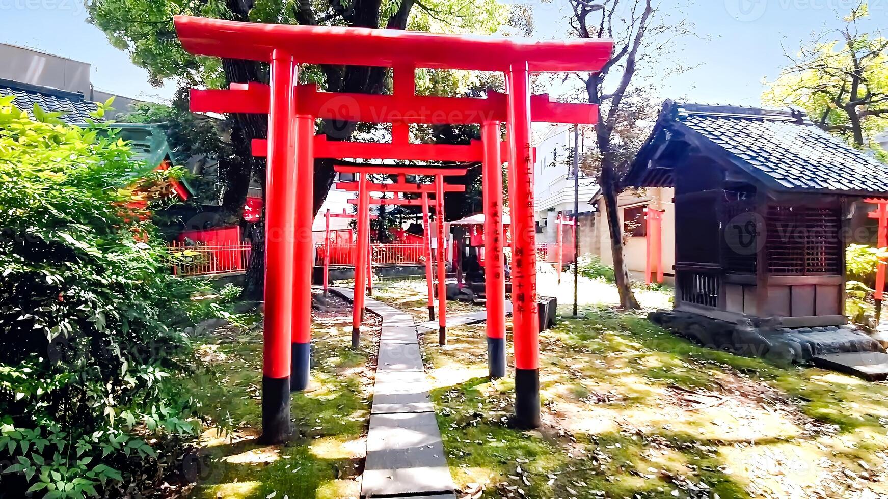 Shrine torii and approach.Mimeguri Shrine is a shrine located in Mukojima, Sumida Ward, Tokyo, Japan. photo