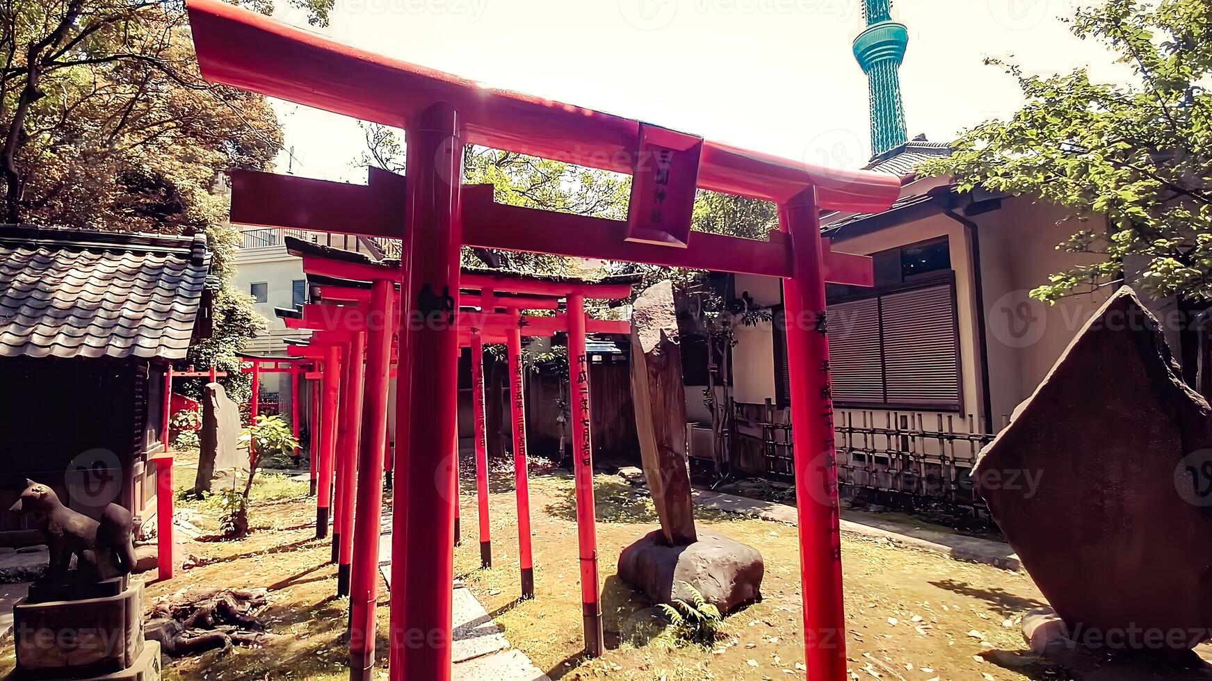 Shrine torii with a view of Tokyo Skytree Tower.Mimeguri Shrine is a shrine located in Mukojima, Sumida Ward, Tokyo, Japan. photo