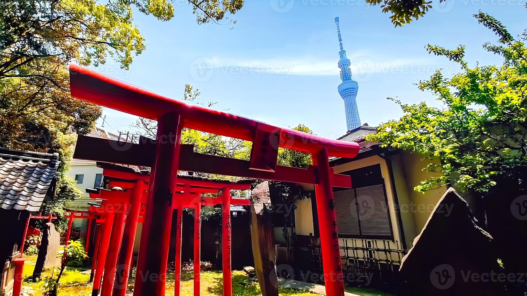 Shrine torii with a view of Tokyo Skytree Tower.Mimeguri Shrine is a shrine located in Mukojima, Sumida Ward, Tokyo, Japan. photo