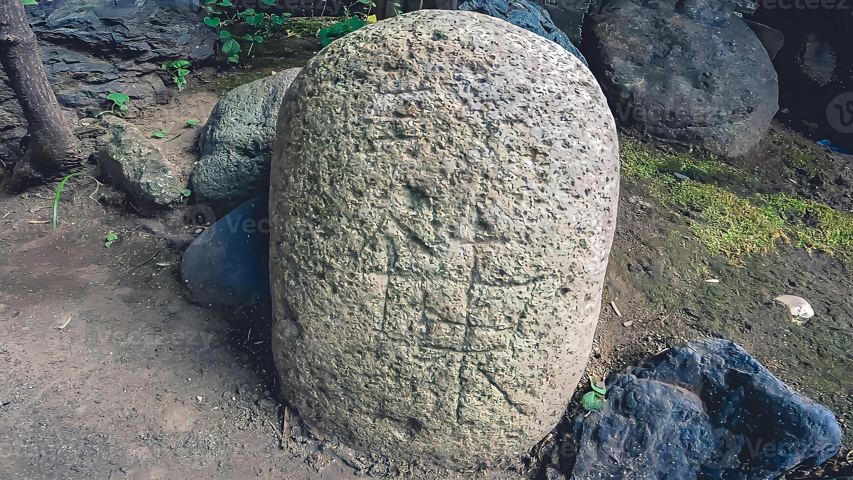 Chikaraishi is a large stone used for testing strength. In Japan, testing of strength using chikaraishi was popular as a form of training and entertainment. photo