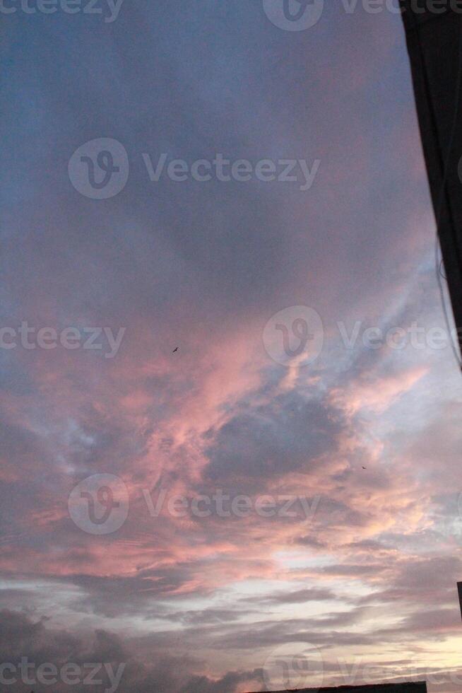 A blue sky captured vertically where it was summer. photo