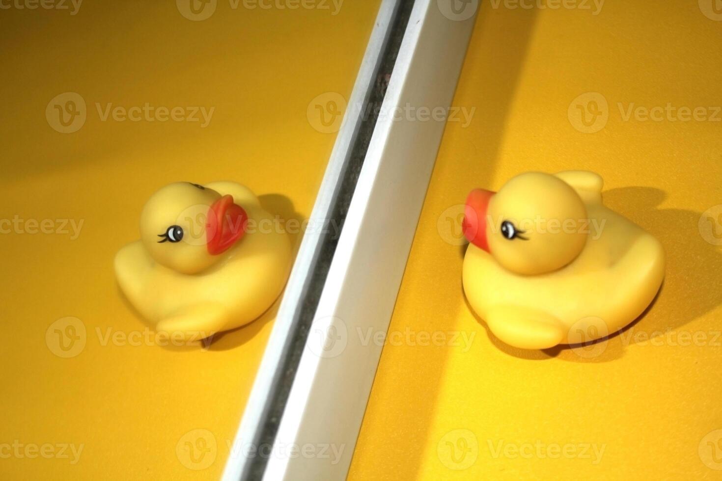 Rubber ducks that are faced with a mirror and pose as if they are facing each other photo