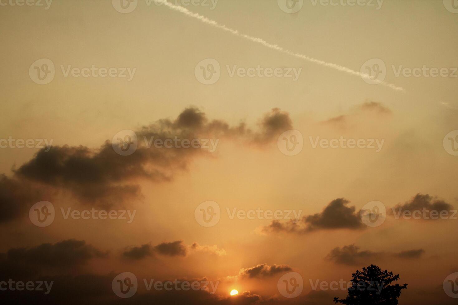 A view of the sky on a summer afternoon. photo