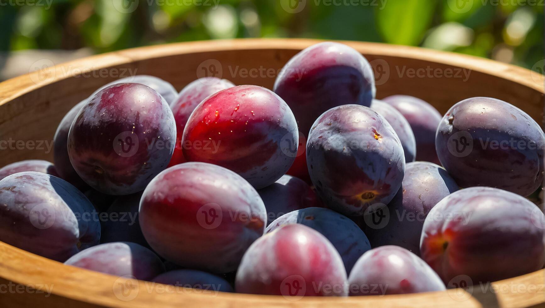 ripe plum in a wooden box against the background of the garden harvest photo