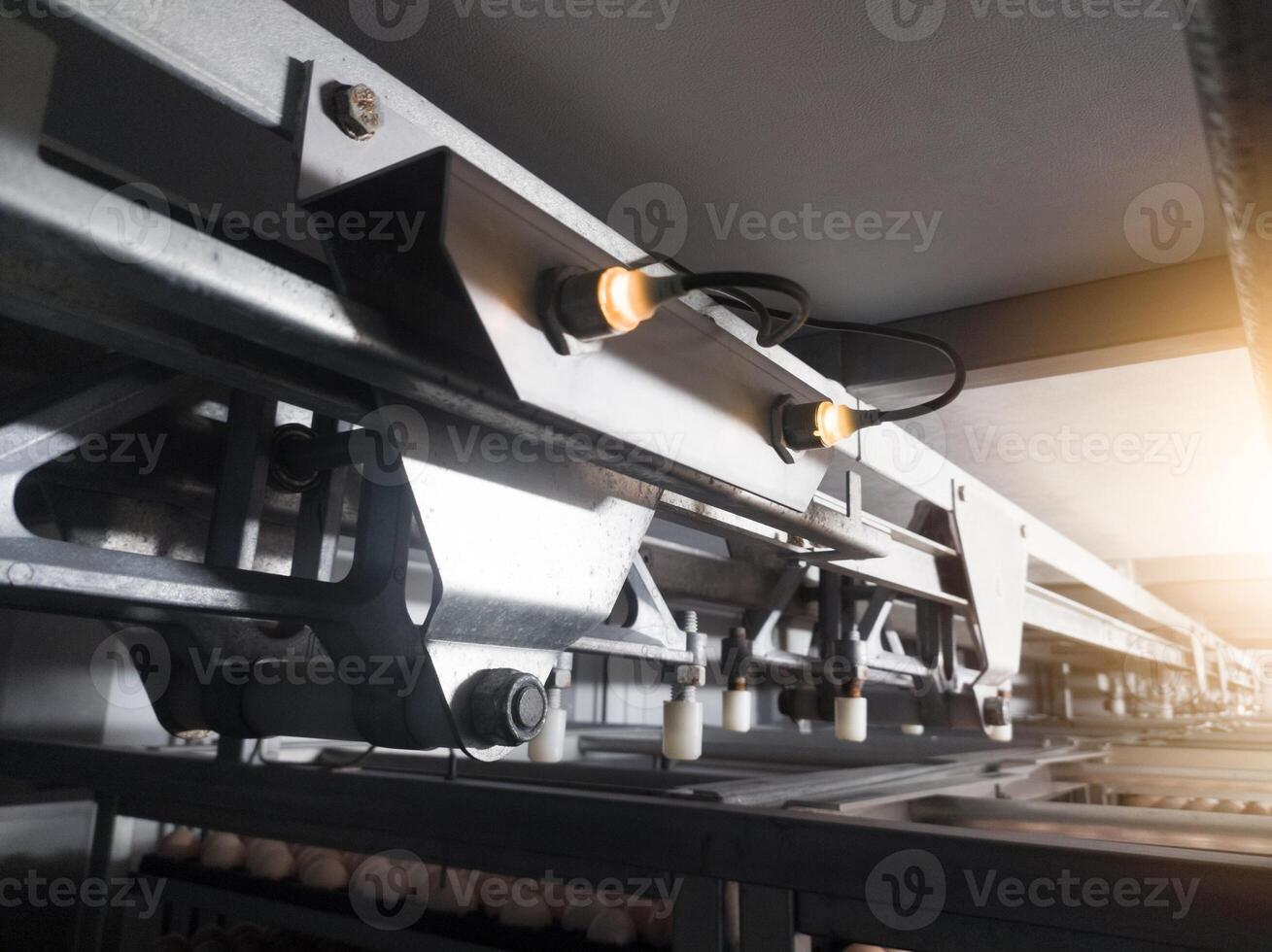 Close up the Mechanical turning eggs trolley on the incubation hatchery machine. photo