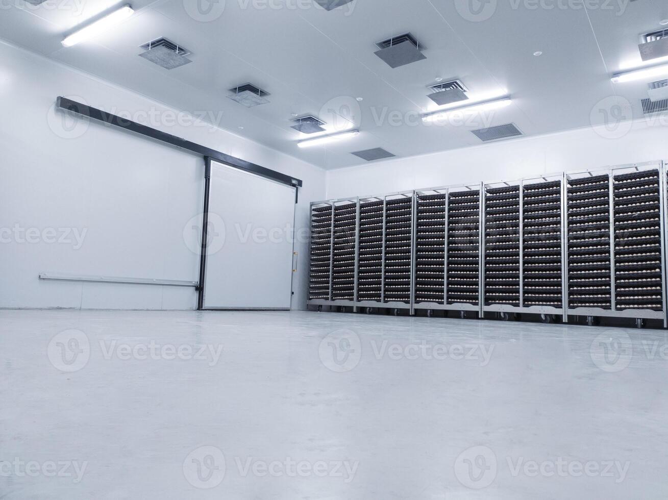Several trolleys contain hatching eggs in the egg storage room so that the temperature of the eggs is maintained with Ceilling air vent on the cooling storage room before on hatching process. photo