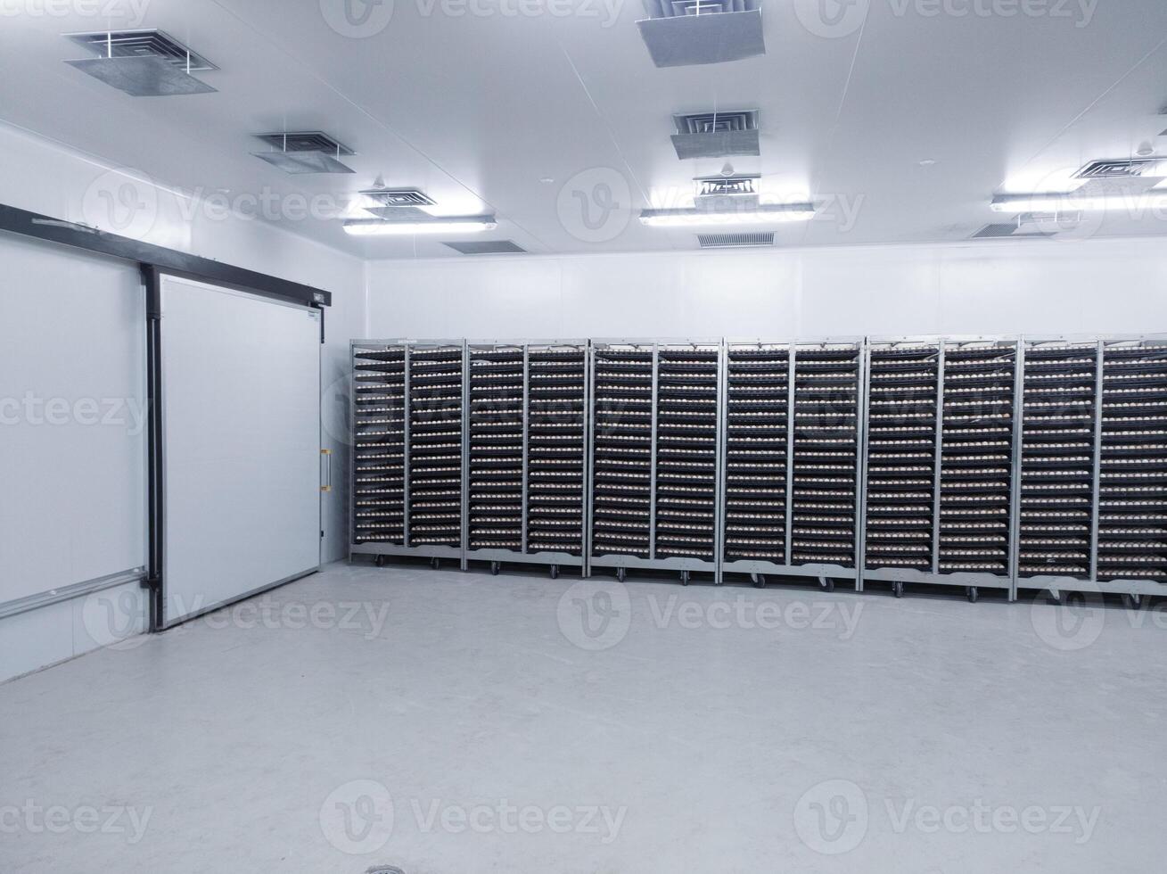 Several trolleys contain hatching eggs in the egg storage room so that the temperature of the eggs is maintained with Ceilling air vent on the cooling storage room before on hatching process. photo