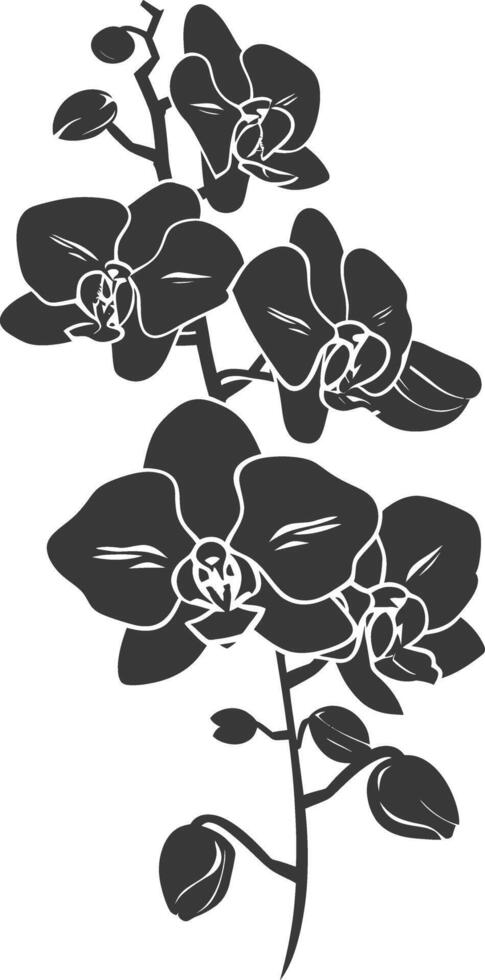 ai generado silueta orquídea flor negro color solamente vector