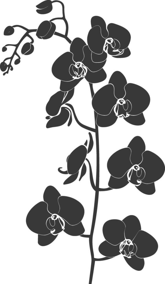 ai generado silueta orquídea flor negro color solamente vector