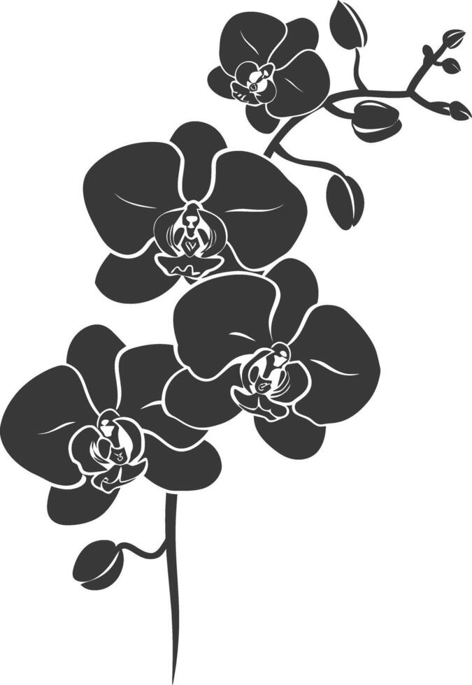 AI generated Silhouette Orchid flower black color only vector