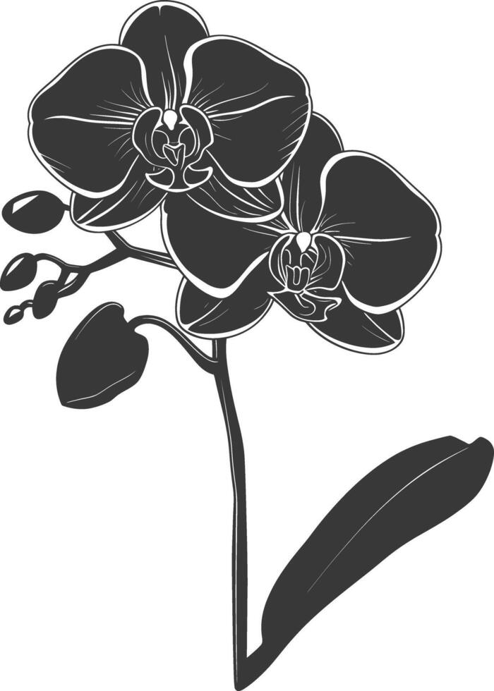 ai generado silueta orquídea flor negro color solamente vector