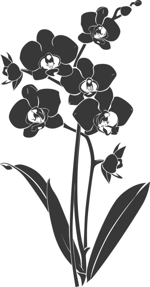 AI generated Silhouette Orchid flower black color only vector