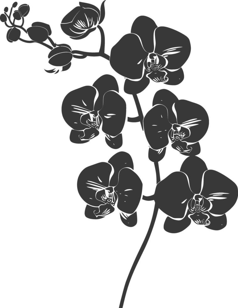 AI generated Silhouette Orchid flower black color only vector