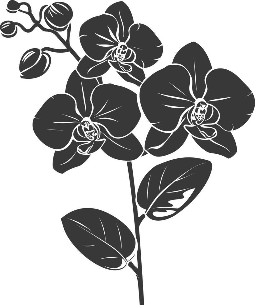 ai generado silueta orquídea flor negro color solamente vector