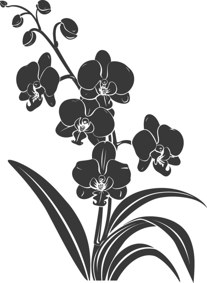 AI generated Silhouette Orchid flower black color only vector