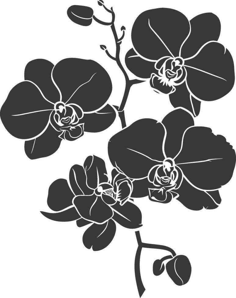 AI generated Silhouette Orchid flower black color only vector