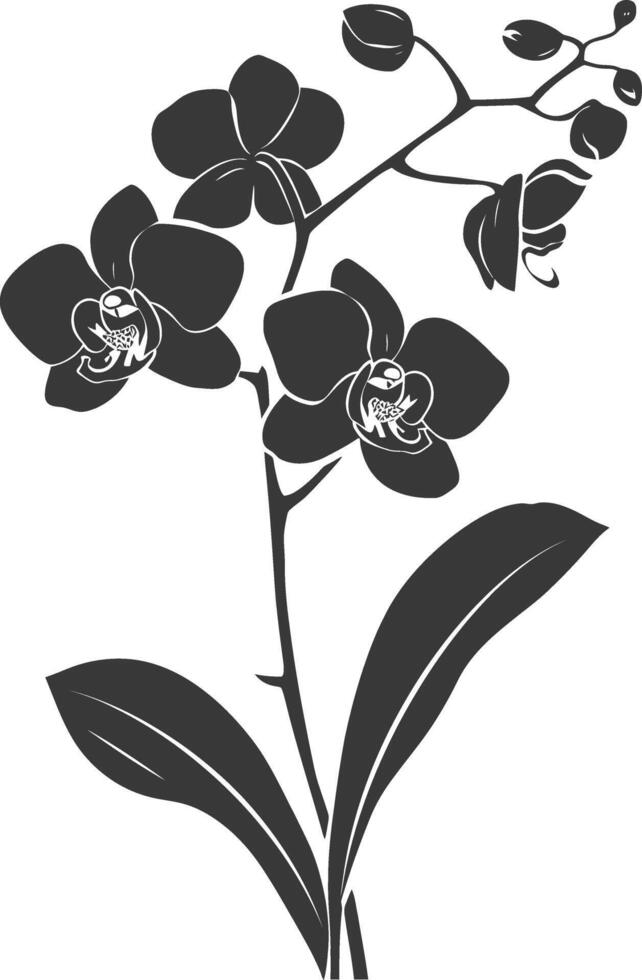 ai generado silueta orquídea flor negro color solamente vector