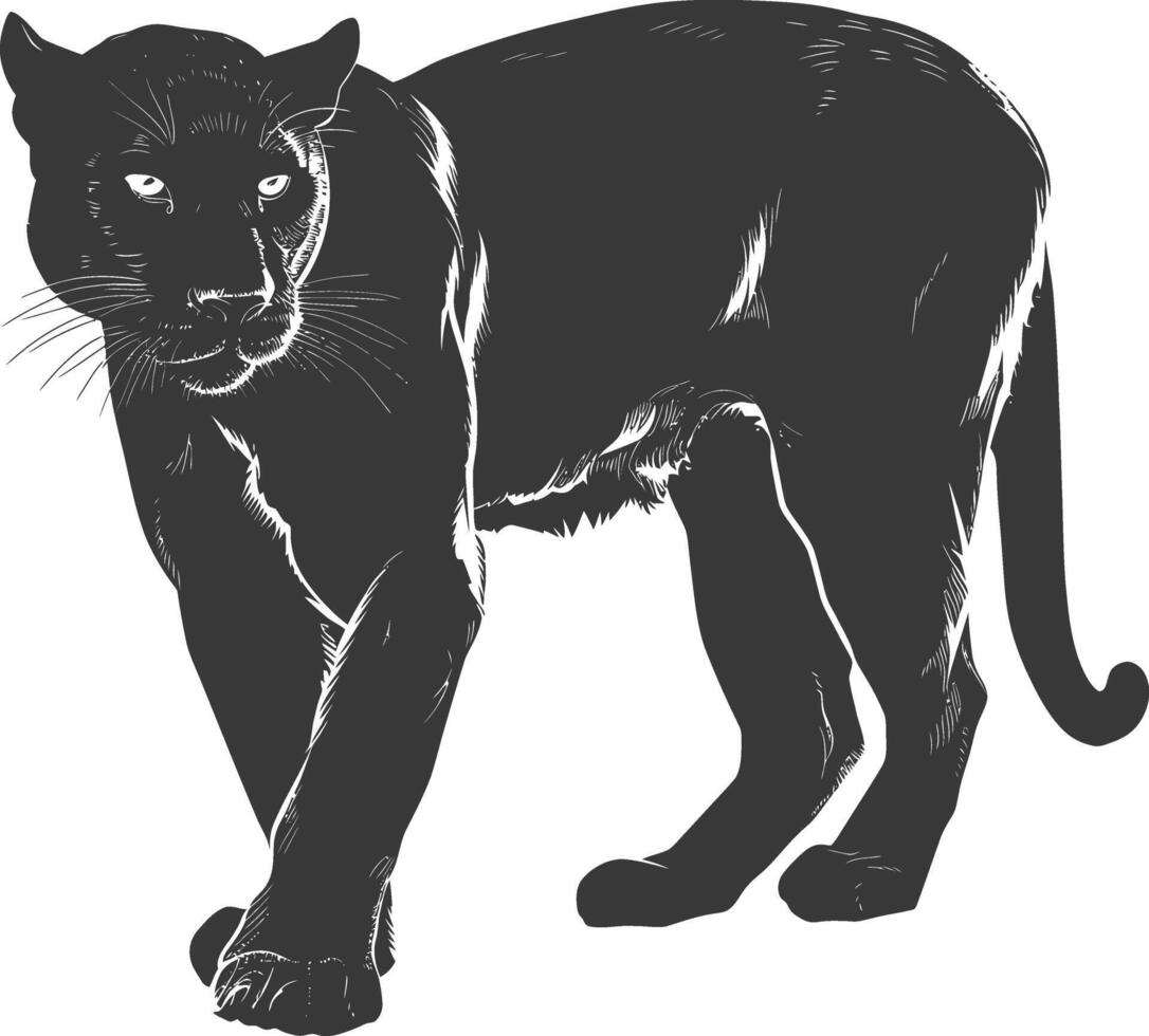 AI generated Silhouette panther animal black color only full body vector