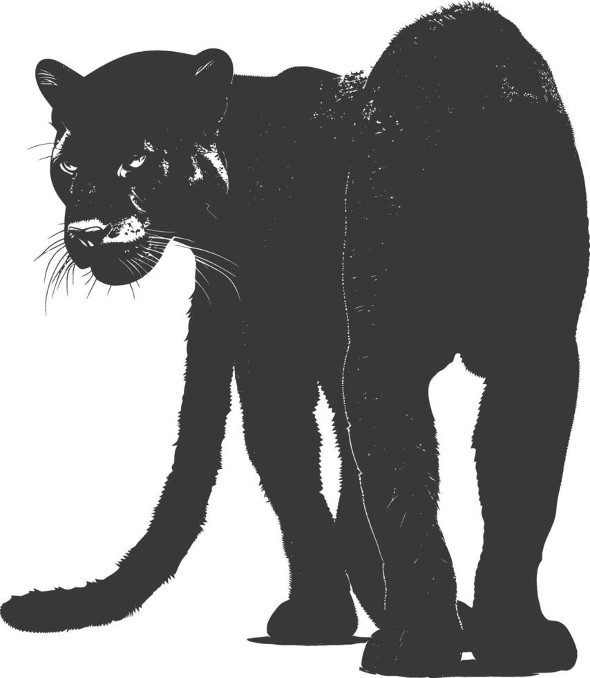 AI generated Silhouette panther animal black color only full body vector