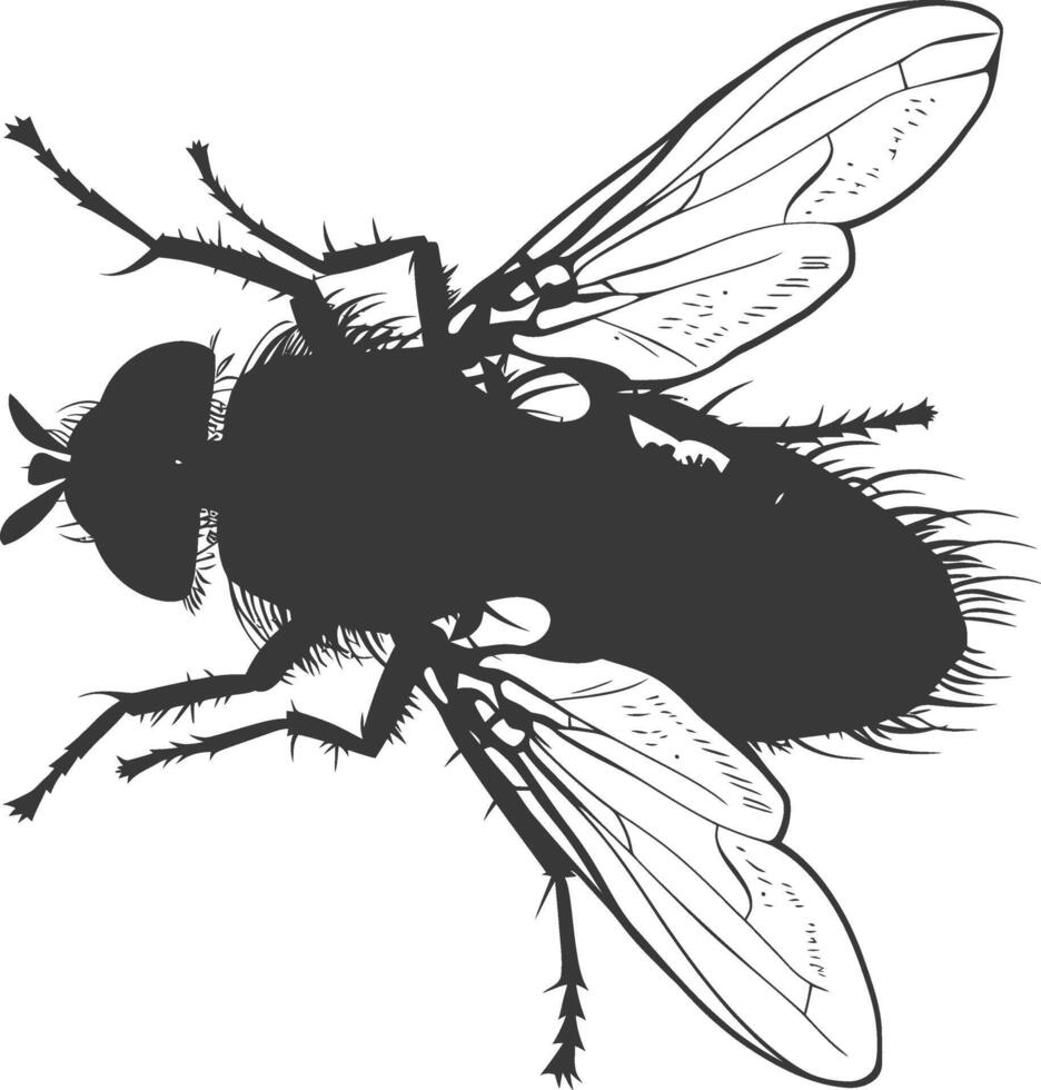 ai generado silueta mosca insecto animal negro color solamente lleno vector