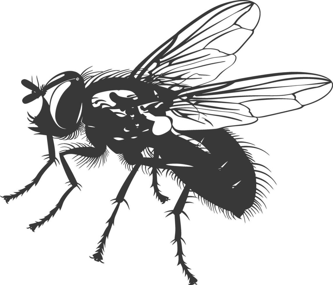 ai generado silueta mosca insecto animal negro color solamente lleno vector