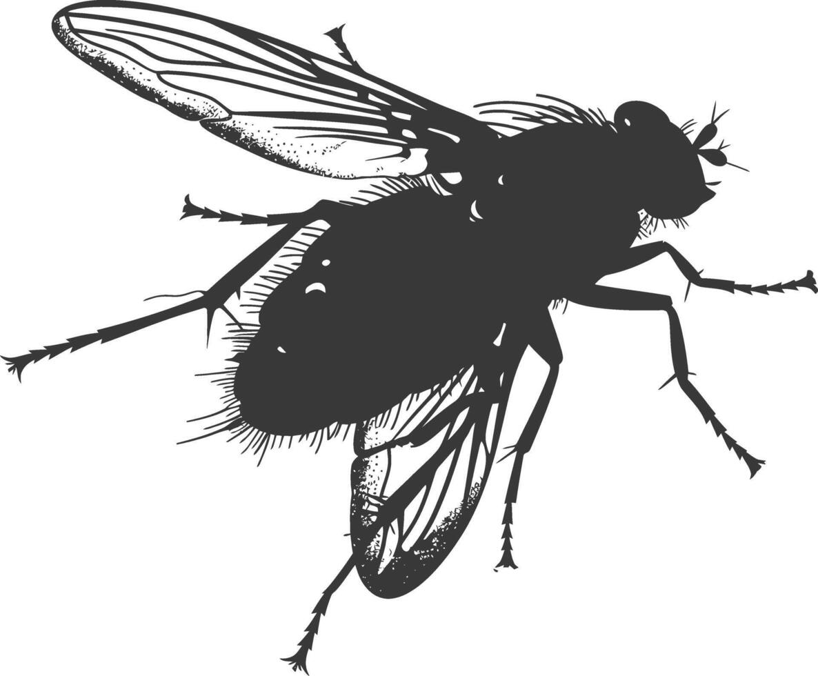 AI generated Silhouette Fly Insect animal black color only full vector