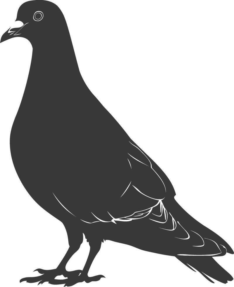 AI generated Silhouette dove bird animal black color only full body vector