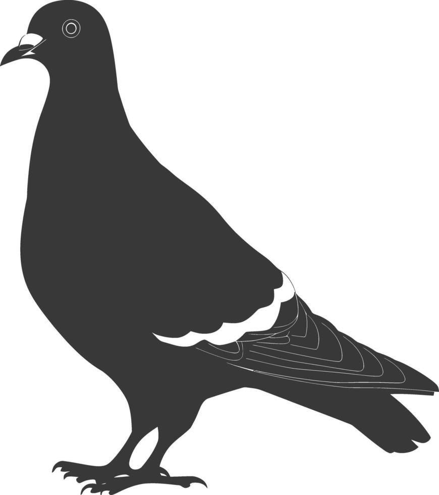 AI generated Silhouette dove bird animal black color only full body vector
