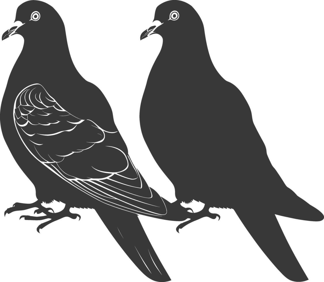 AI generated Silhouette dove bird animal couple pigeon black color only vector