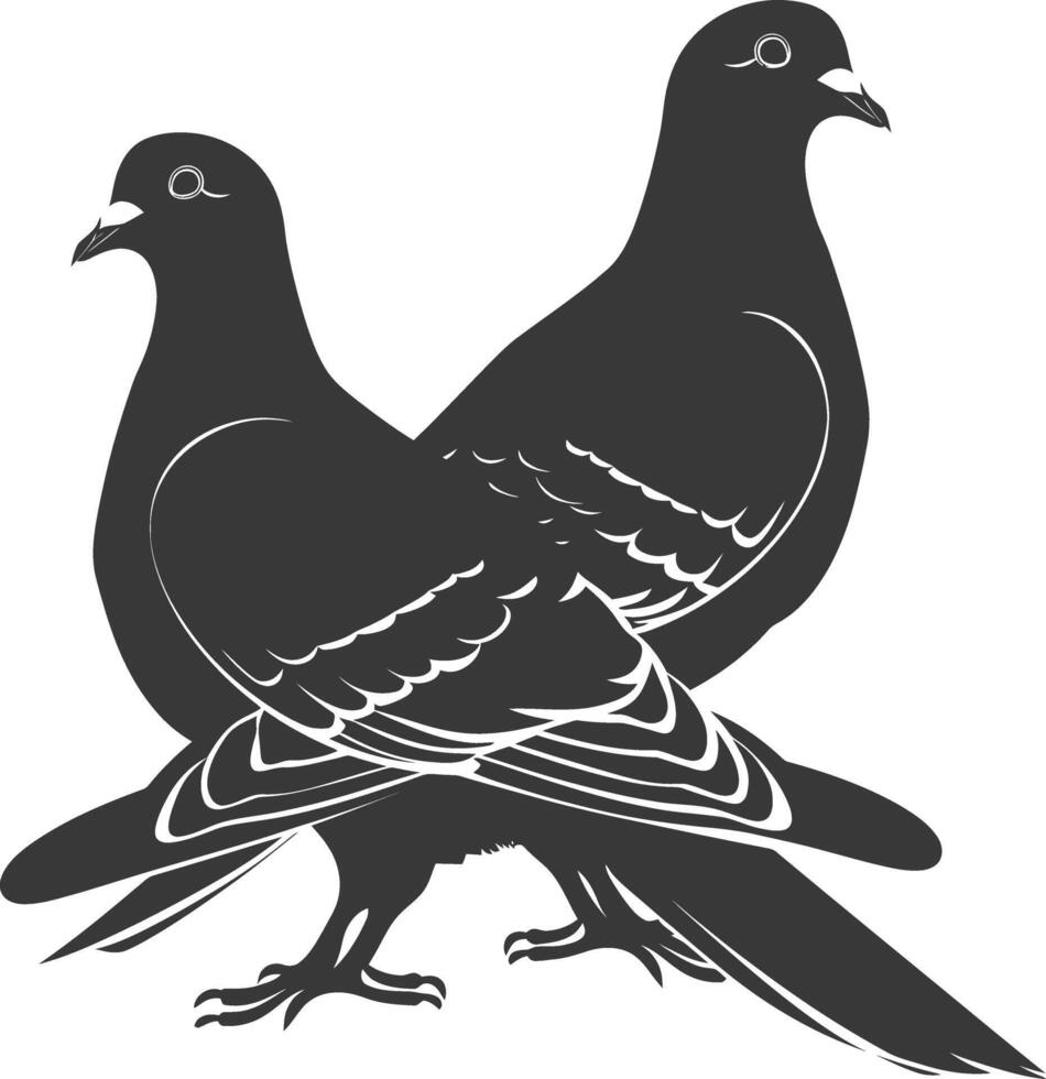 ai generado silueta paloma pájaro animal Pareja Paloma negro color solamente vector