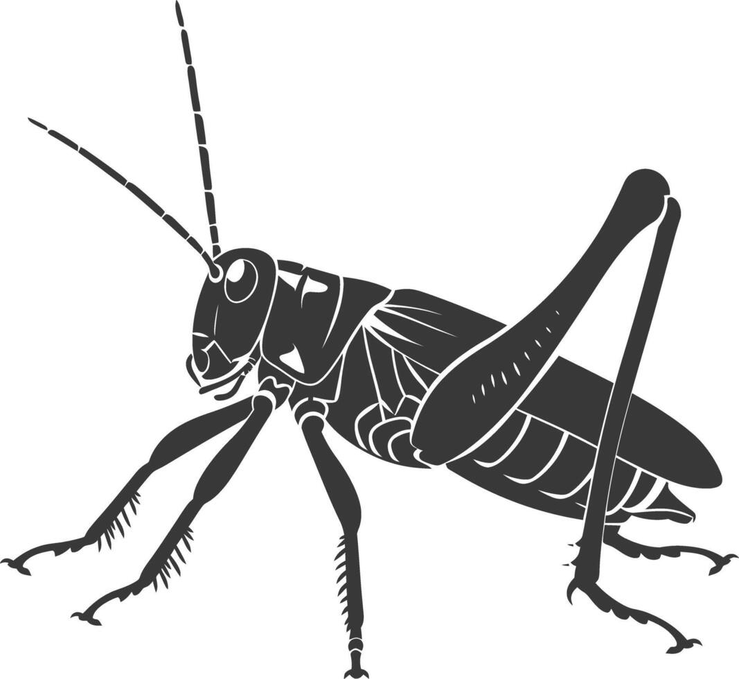 ai generado silueta saltamontes insecto animal negro color solamente vector