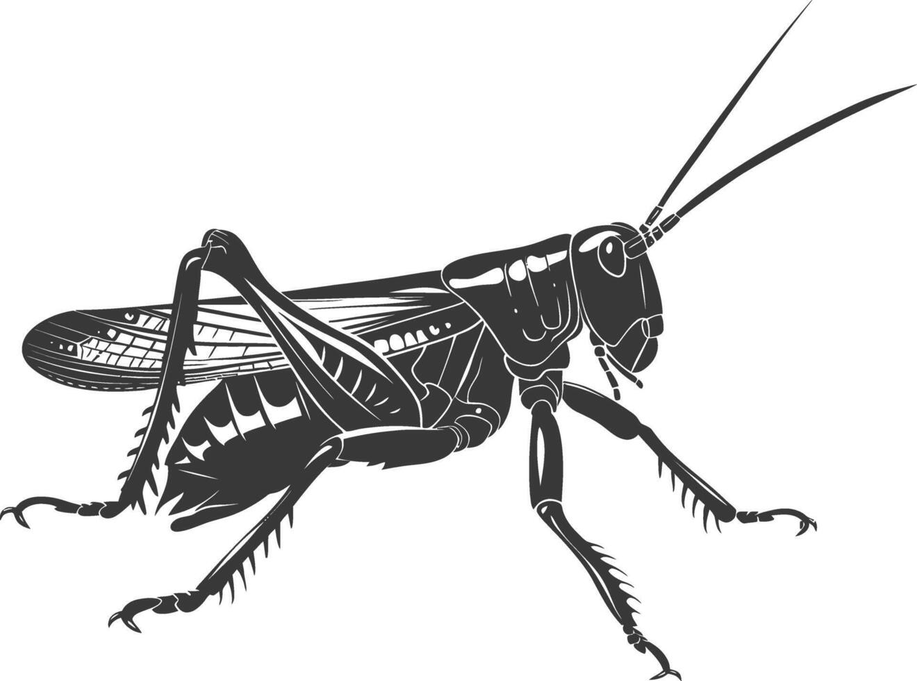 AI generated Silhouette grasshopper Insect animal black color only vector