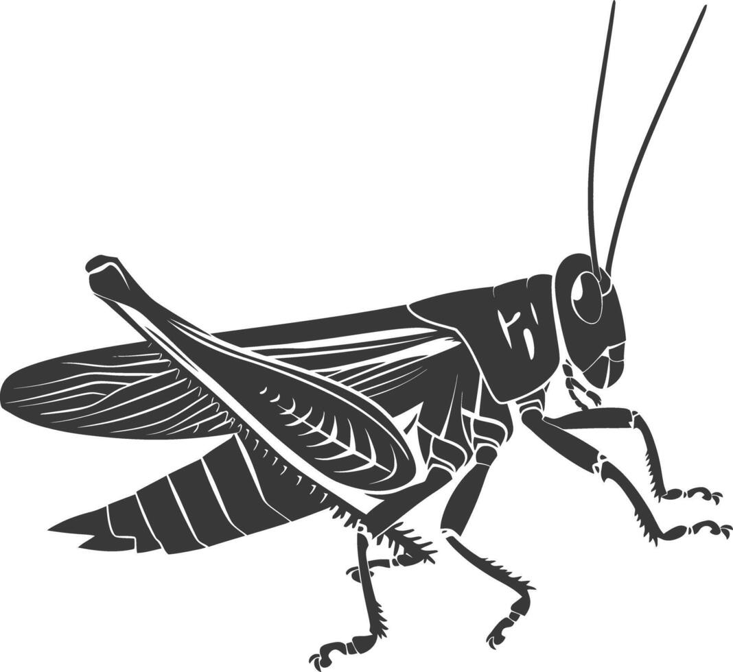 ai generado silueta saltamontes insecto animal negro color solamente vector