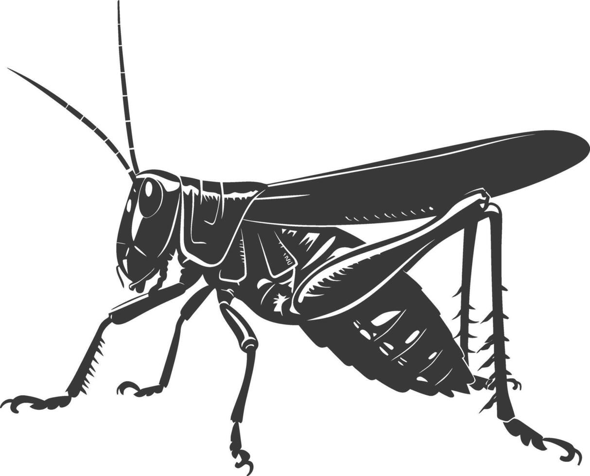 ai generado silueta saltamontes insecto animal negro color solamente vector