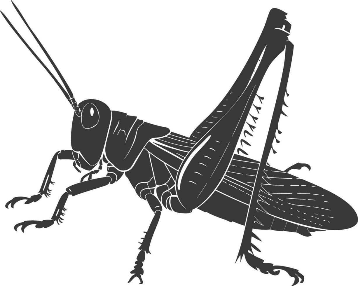 AI generated Silhouette grasshopper Insect animal black color only vector
