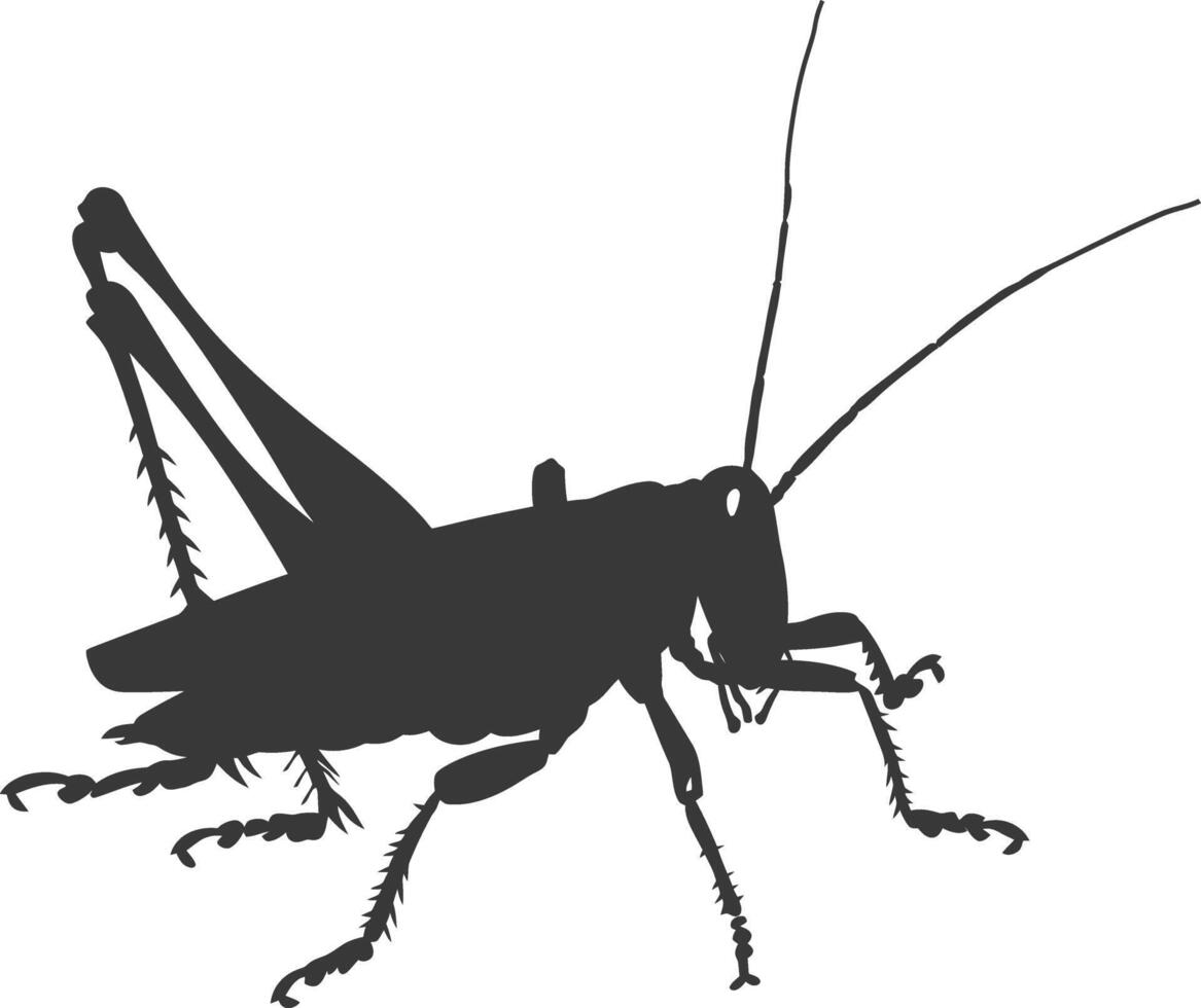 AI generated Silhouette grasshopper Insect animal black color only vector