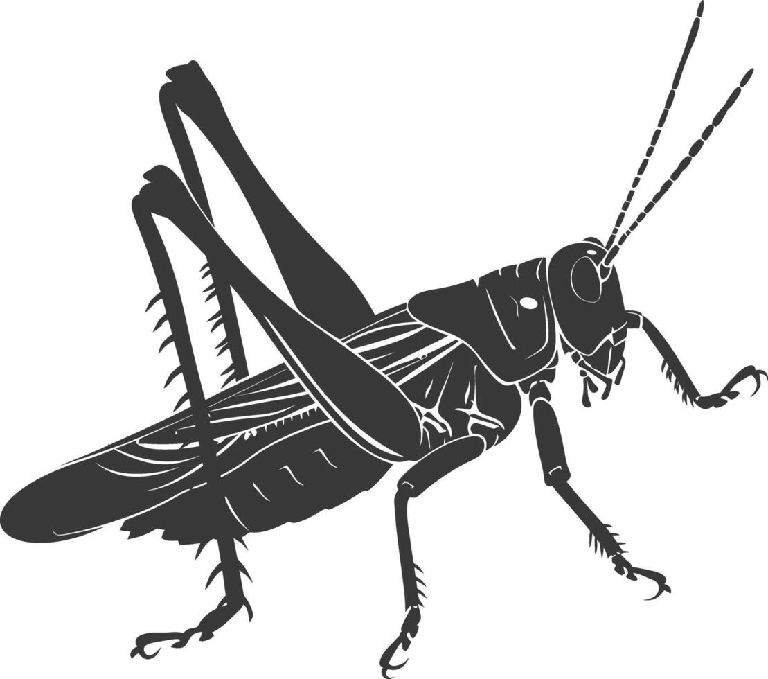 AI generated Silhouette grasshopper Insect animal black color only vector