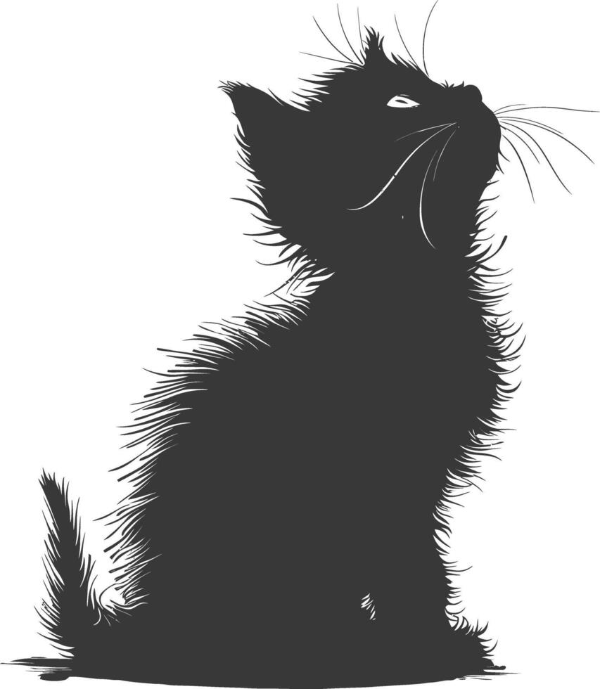 silueta gatito animal jugando piel negro color solamente vector