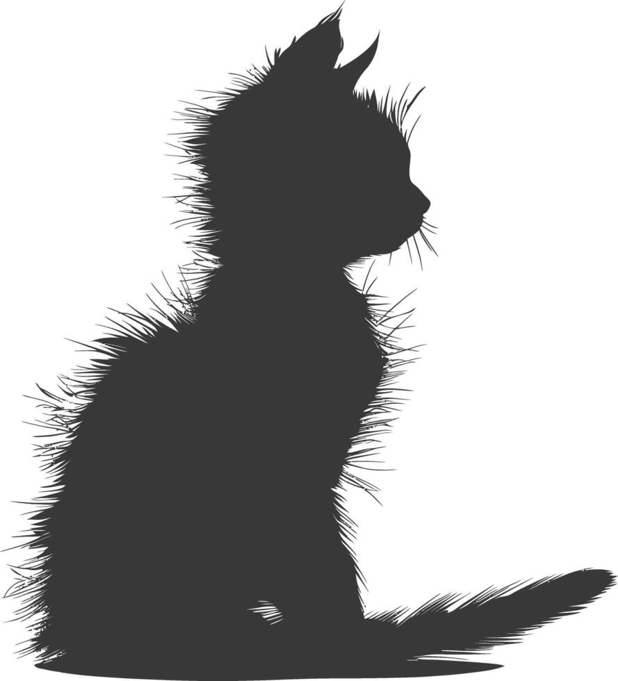 Silhouette kitten animal playing fur black color only vector