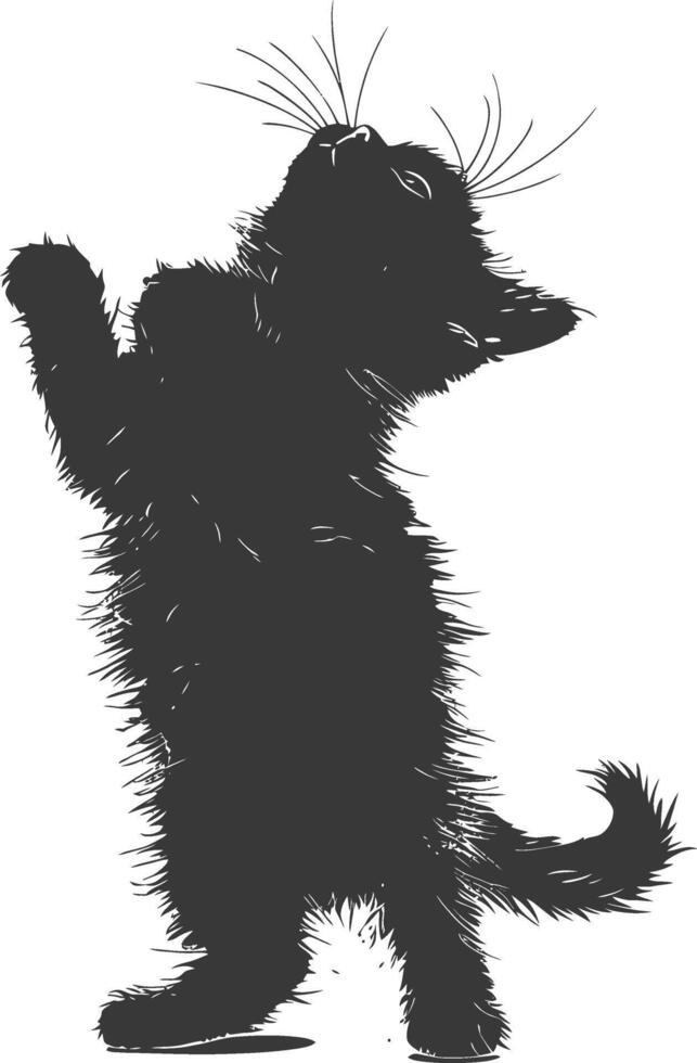 Silhouette kitten animal playing fur black color only vector