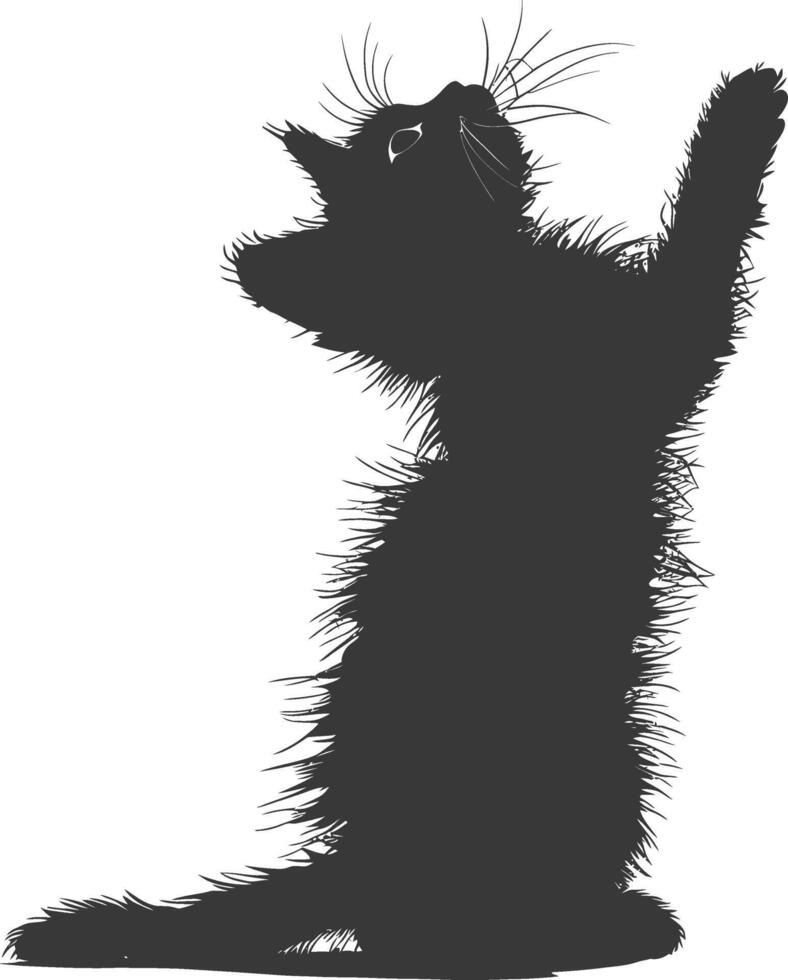 Silhouette kitten animal playing fur black color only vector