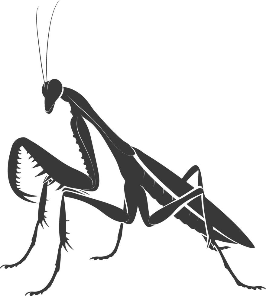 silueta mantis animal negro color solamente lleno cuerpo vector