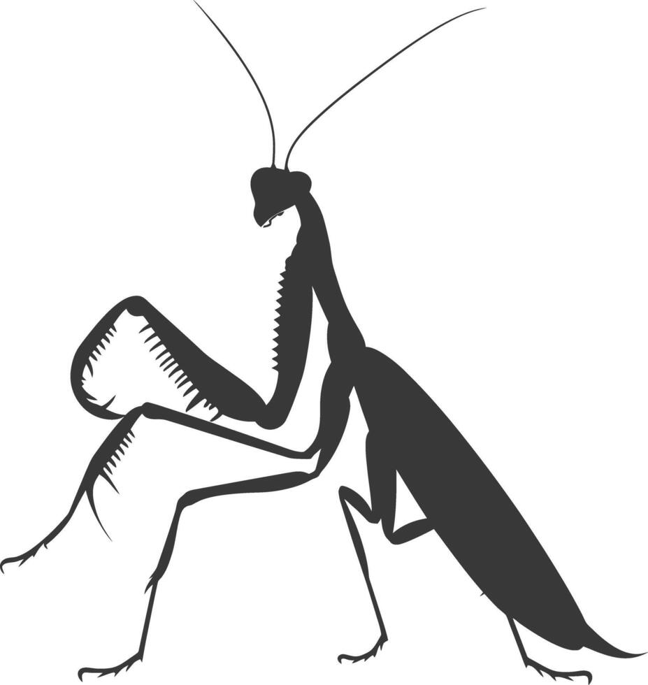 silueta mantis animal negro color solamente lleno cuerpo vector