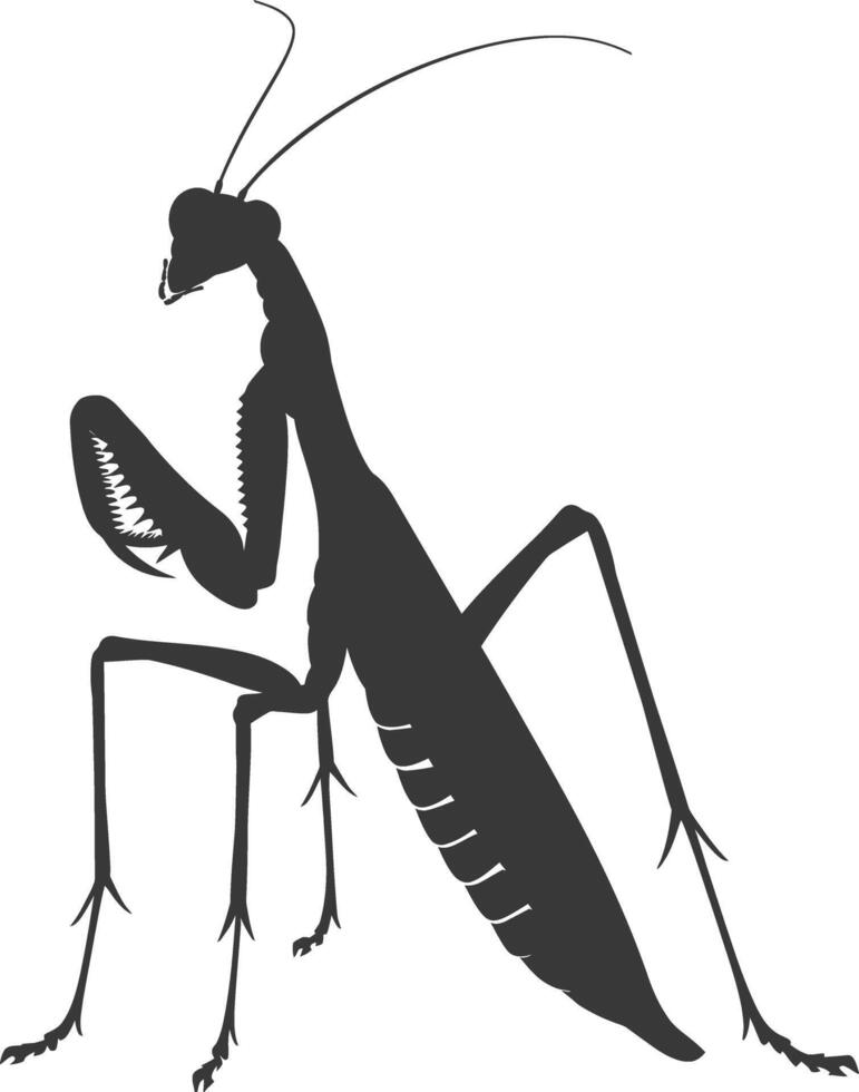 Silhouette mantis animal black color only full body vector