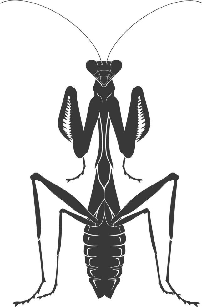 Silhouette mantis animal black color only full body vector