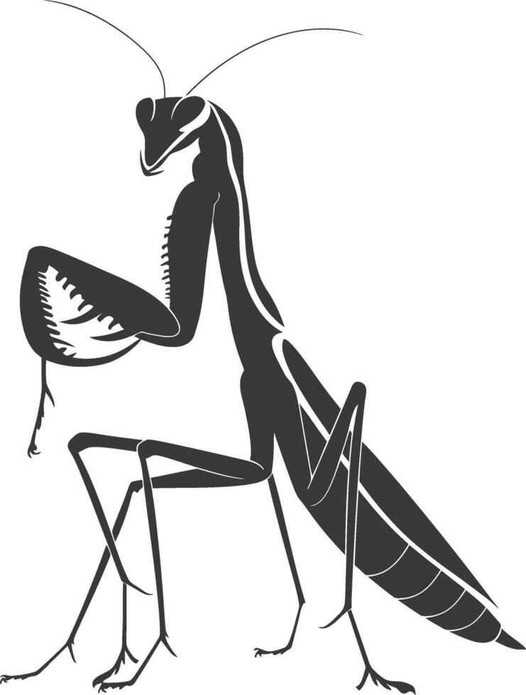 Silhouette mantis animal black color only full body vector